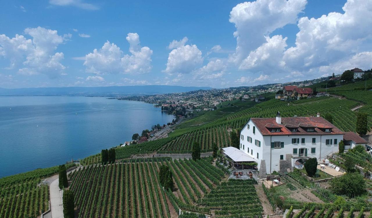 Domaine De La Crausaz Grandvaux Buitenkant foto