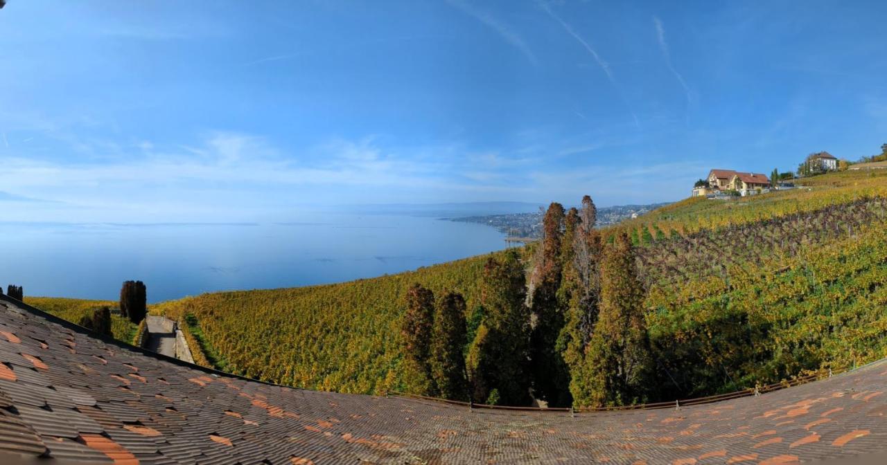 Domaine De La Crausaz Grandvaux Buitenkant foto