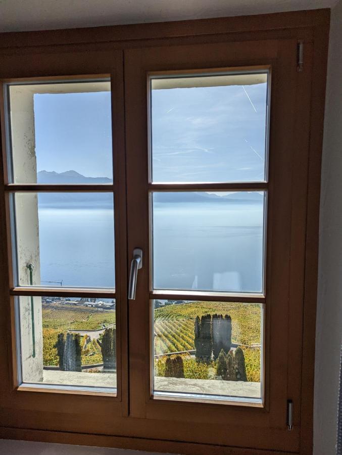 Domaine De La Crausaz Grandvaux Buitenkant foto